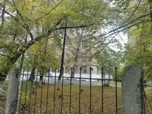 Фотография Индиго 4